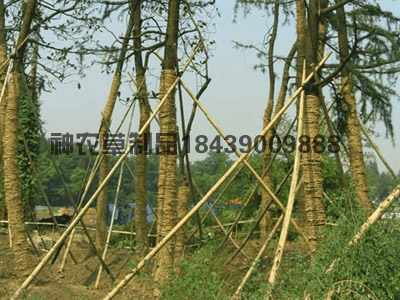 草繩應用