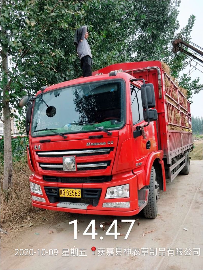 U型草支墊發(fā)貨現(xiàn)場