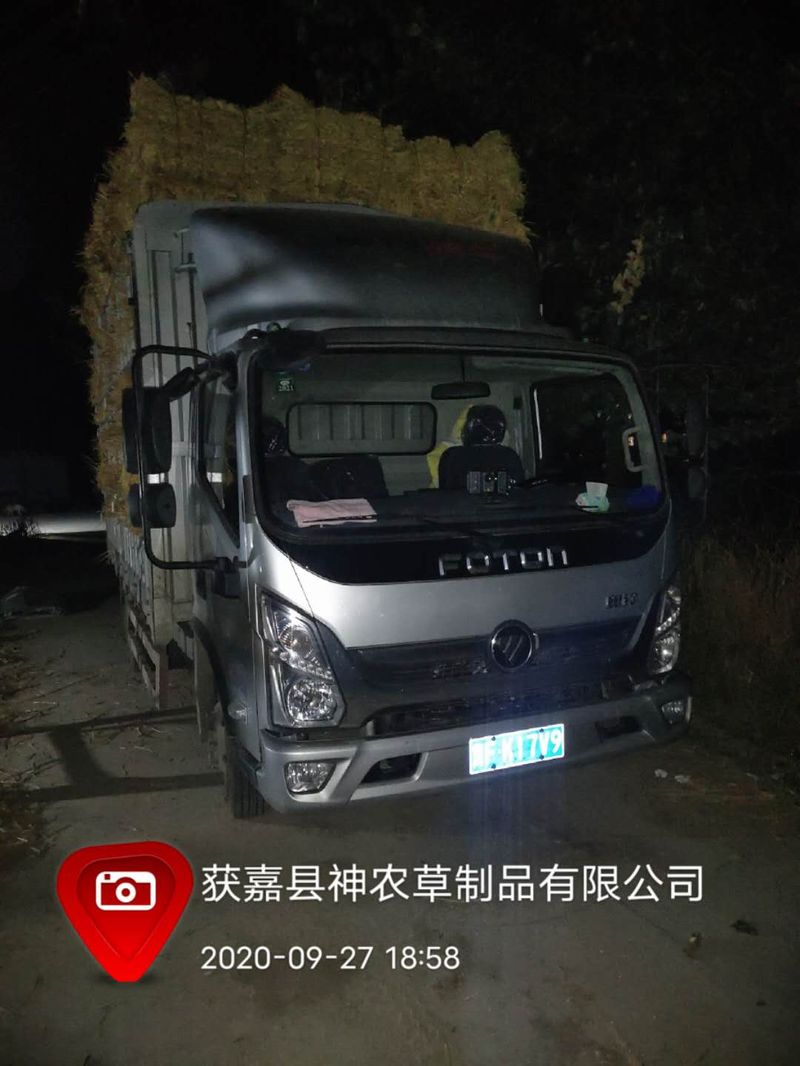 U型草支墊發(fā)貨現(xiàn)場