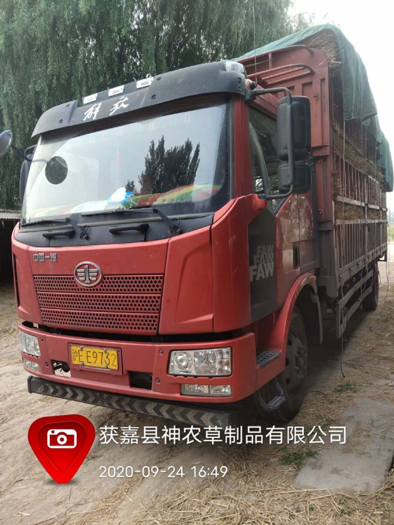 U型草支墊發(fā)貨現(xiàn)場