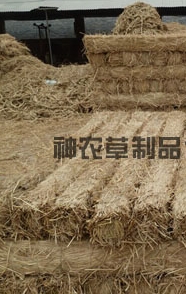 給樹(shù)干綁草繩有什么影響？